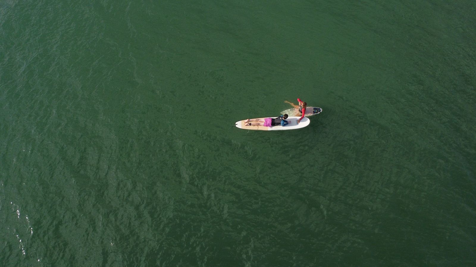 A surf lesson seen from above in green Pacific water